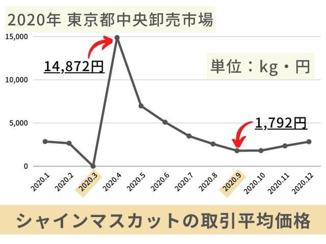 2020年東京中央卸売市場 シャインマスカットの取引平均額 単位：kg・円 月別の取引平均額グラフ
